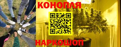 ешки Шебекино